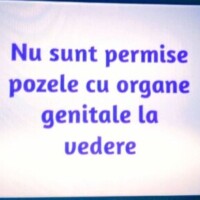 Poză de profil pentru Sebi