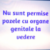 Poză de profil pentru alin